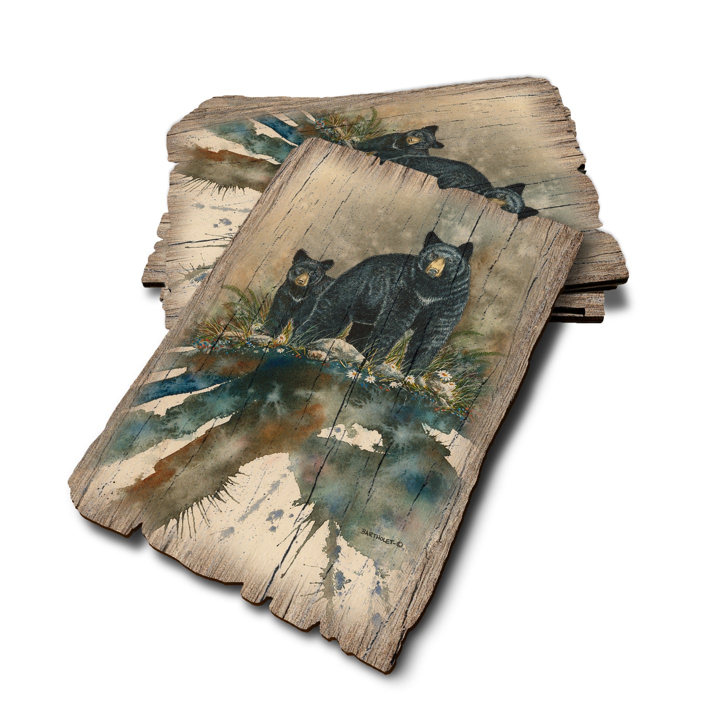 Bartholet's Steppin' Out - Weathered Edge Rustic Edge Postcard (5pk // $2.80ea)