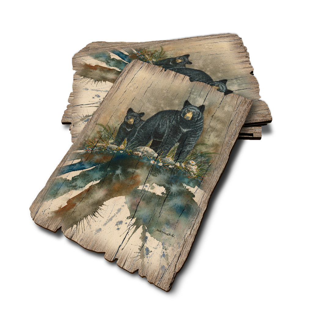 Bartholet's Steppin' Out - Weathered Edge Rustic Edge Postcard (5pk // $2.80ea)