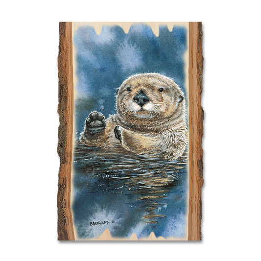 Magnet: Live Edge - Bartholet's Sea Otter