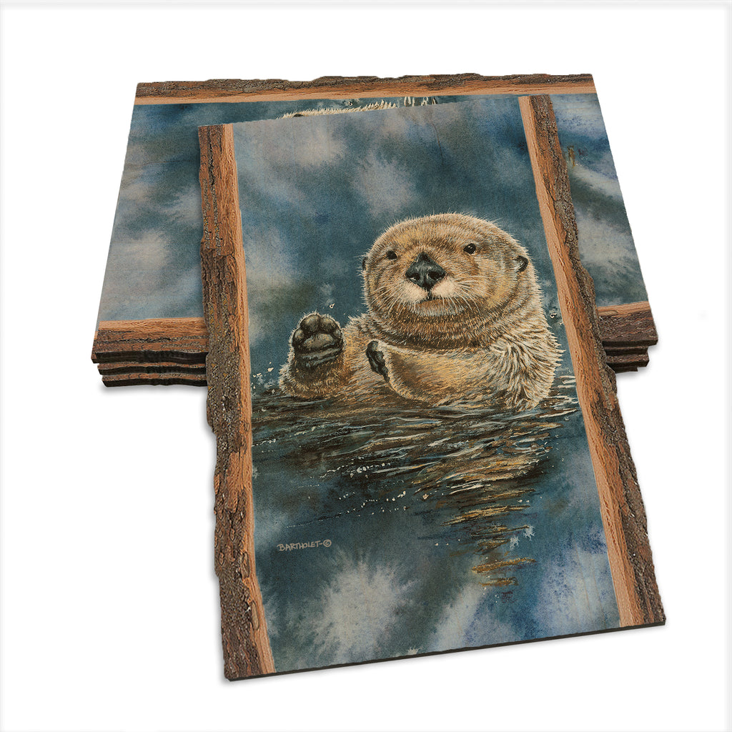 Bartholet's Sea Otter  - Live Edge Live Edge Postcard (5pk // $2.80ea)