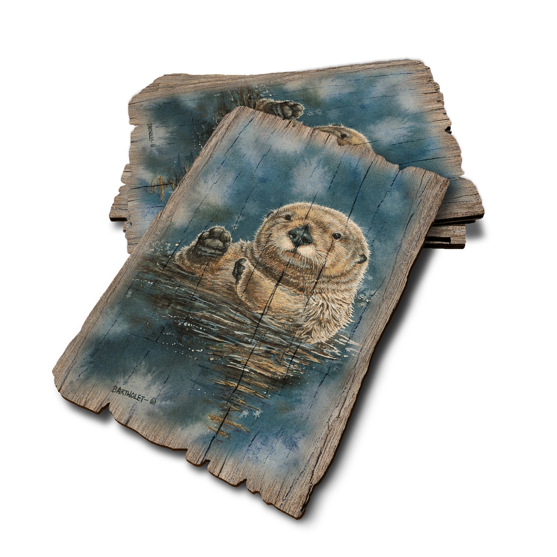 Bartholet's Sea Otter - Weathered Edge Rustic Edge Postcard (5pk // $2.80ea)