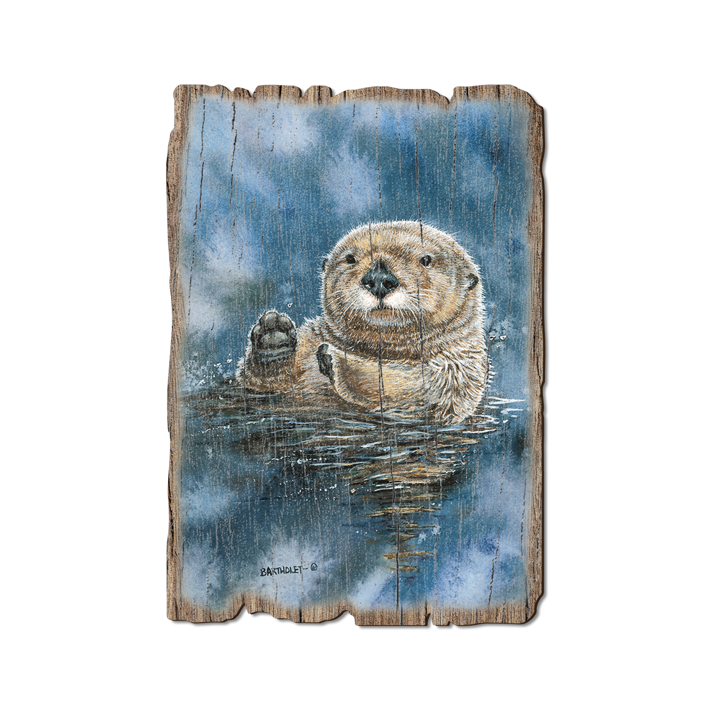 Greeting Card: Weathered Edge - Bartholet's Sea Otter