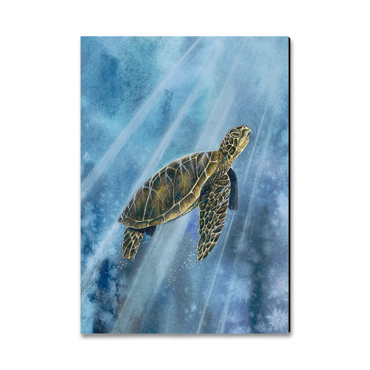 Magnet: Classic Edge - Bartholet's Sea Turtle