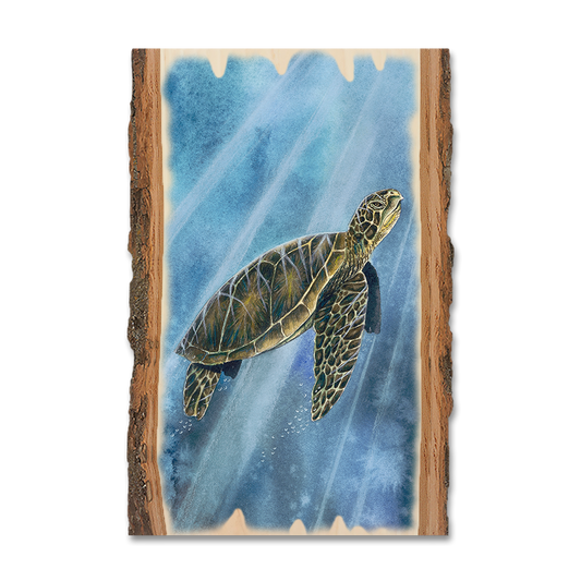 Greeting Card: Live Edge - Bartholet's Sea Turtle