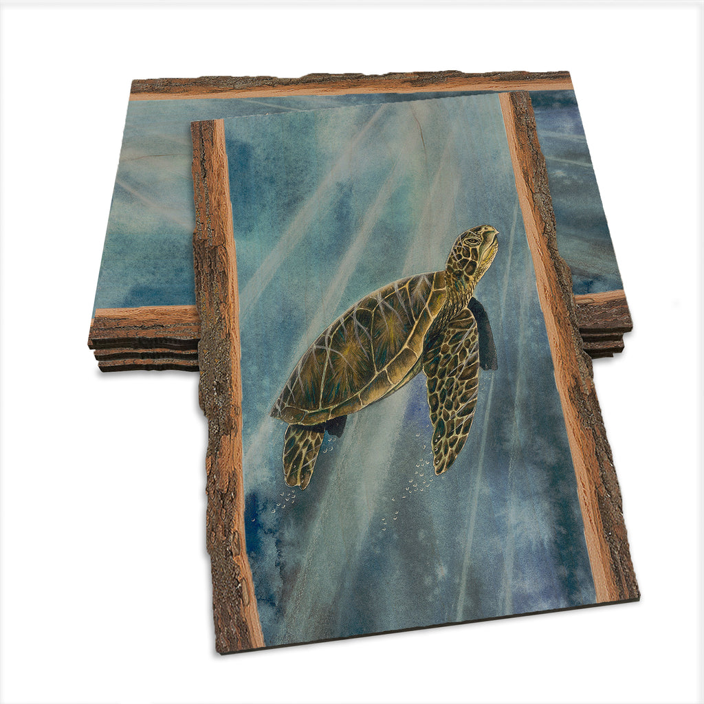 Bartholet's Sea Turtle  - Live Edge Live Edge Postcard (5pk // $2.80ea)
