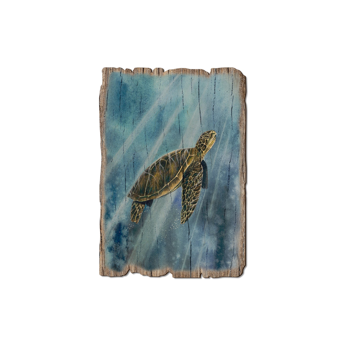 Bartholet's Sea Turtle - Rustic Edge Postcards & Magnets Rustic Edge Magnet (5pk // $2.80ea)