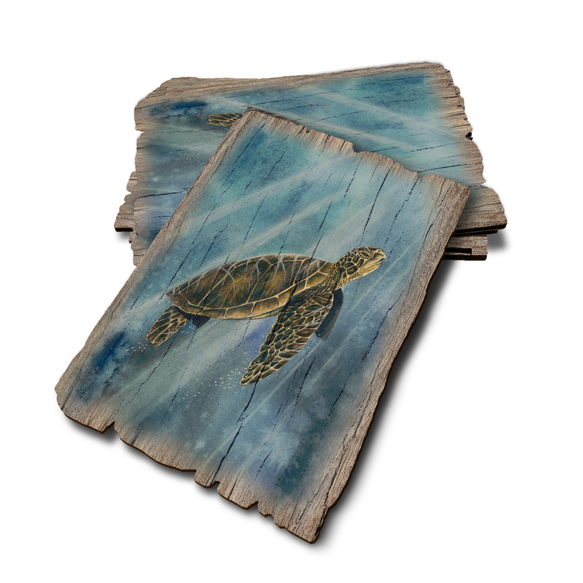 Bartholet's Sea Turtle - Weathered Edge Rustic Edge Postcard (5pk // $2.80ea)