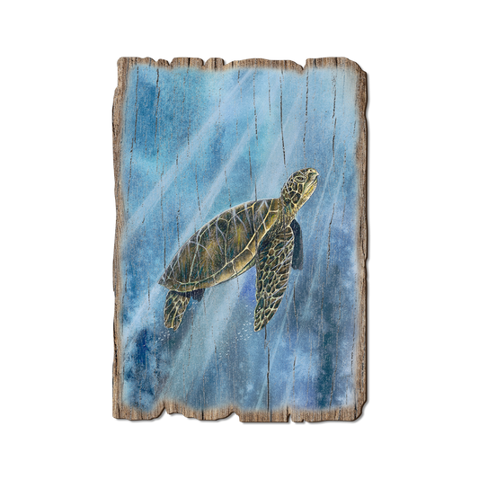 Greeting Card: Weathered Edge - Bartholet's Sea Turtle