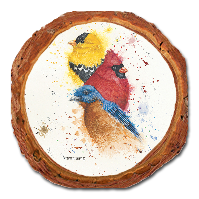 Coaster: Live Edge - Bartholet's Songbird Trio I