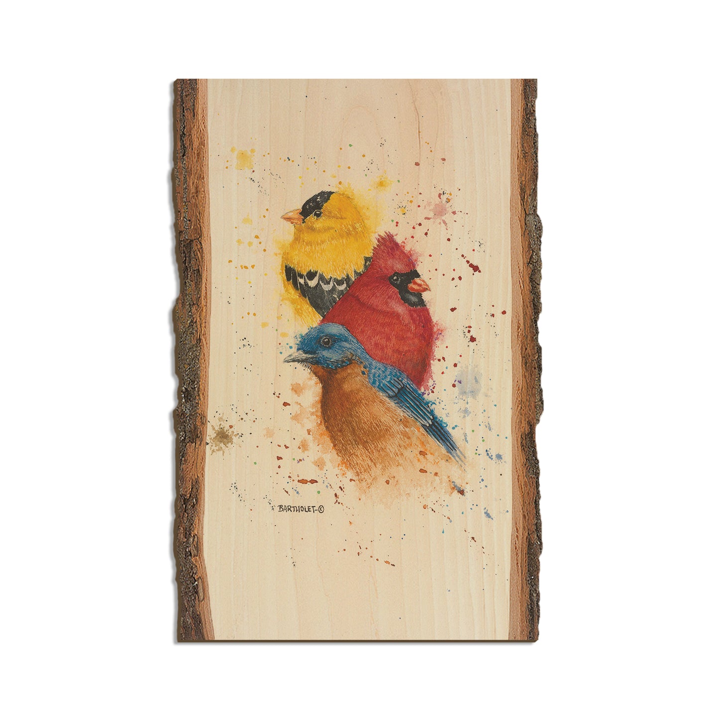 Bartholet's Songbird Trio I   - Live Edge Live Edge Magnet (5pk // $2.80ea)