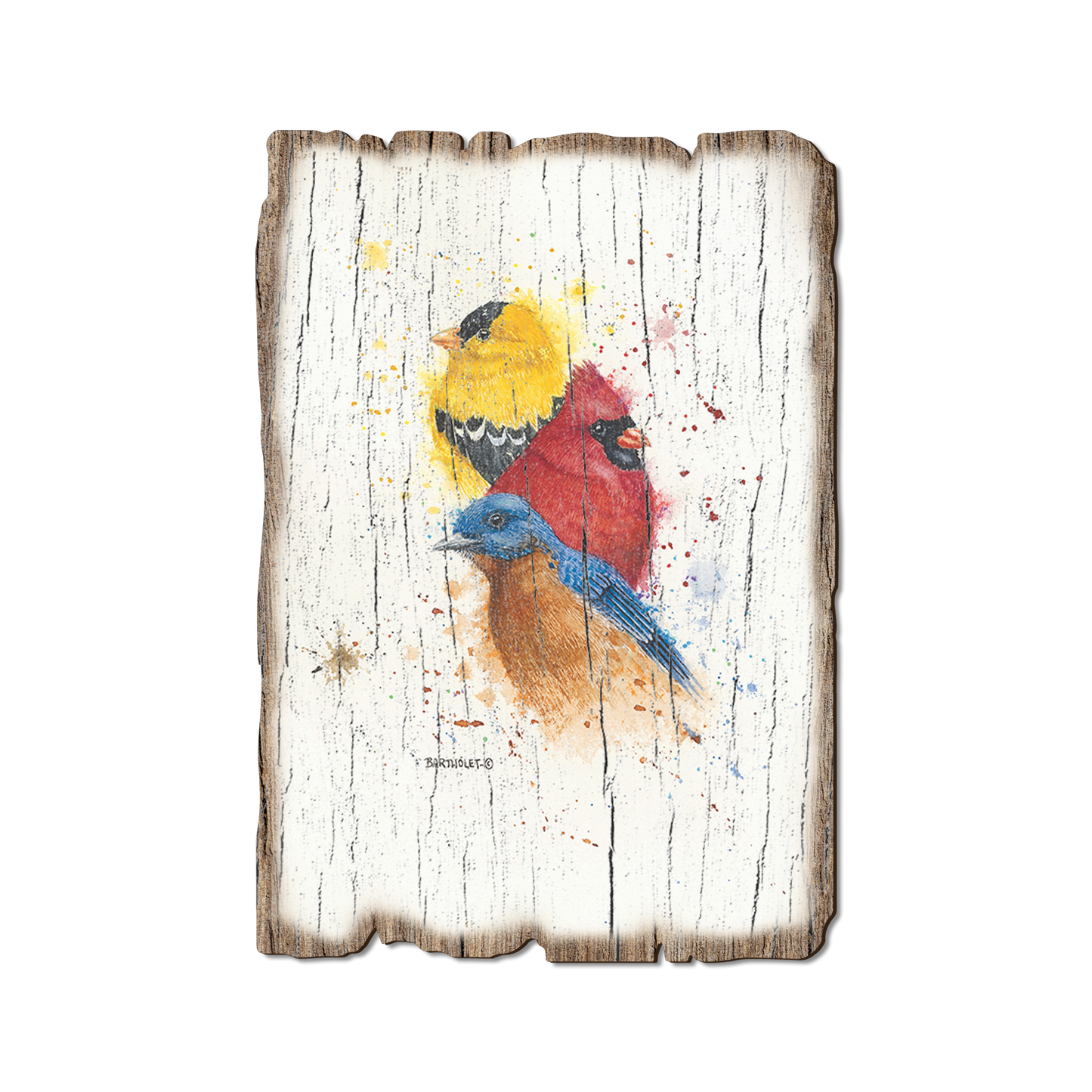 Postcard: Weathered Edge - Bartholet's Songbird Trio I (Pack of 5)
