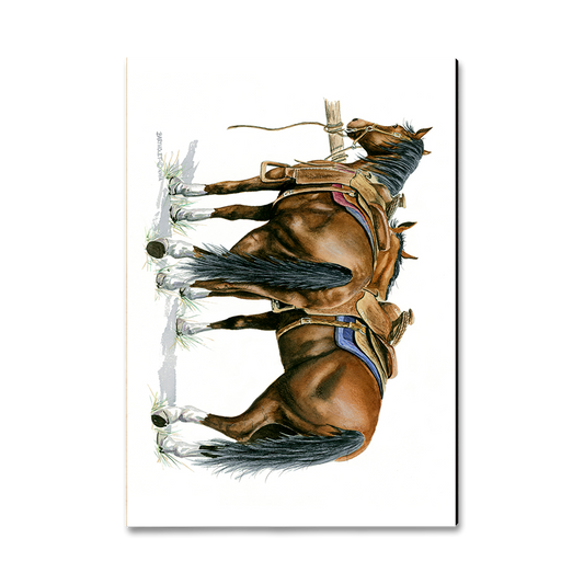 Magnet: Classic Edge - Bartholet's Saddle Up