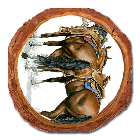 Coaster: Live Edge - Bartholet's Saddle Up (Pack of 5)