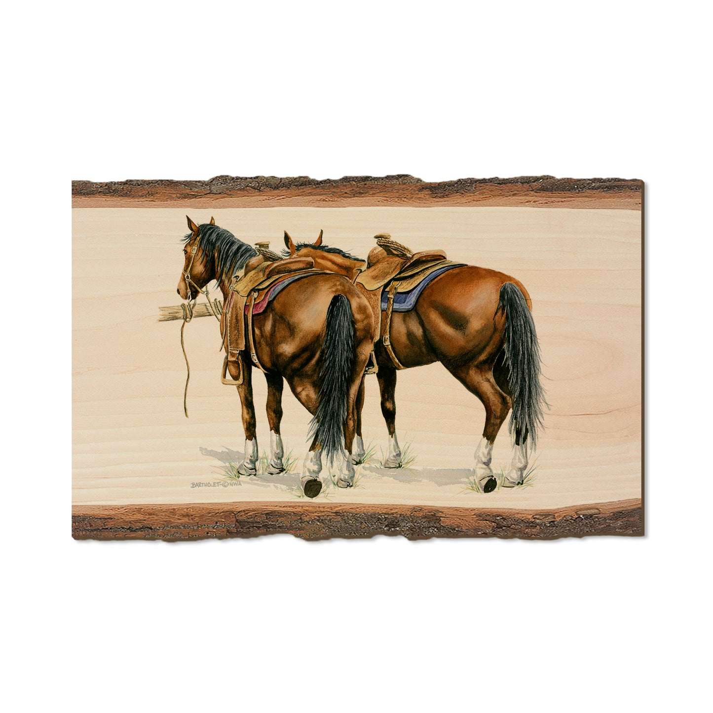 Bartholet's Saddle Up  - Live Edge Live Edge Magnet (5pk // $2.80ea)
