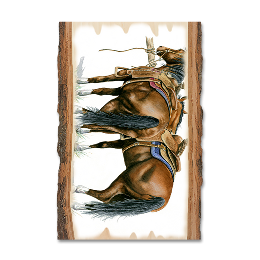 Magnet: Live Edge - Bartholet's Saddle Up