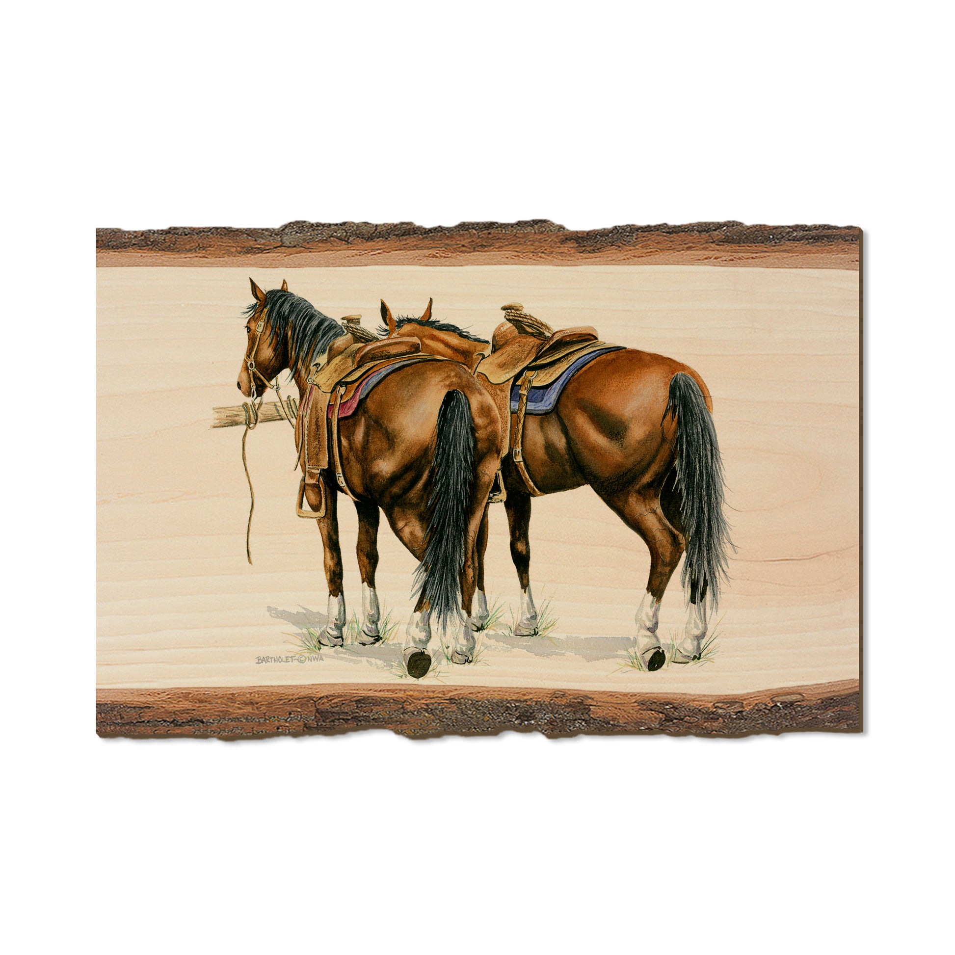 Bartholet's Saddle Up  - Live Edge Live Edge Postcard (5pk // $2.80ea)