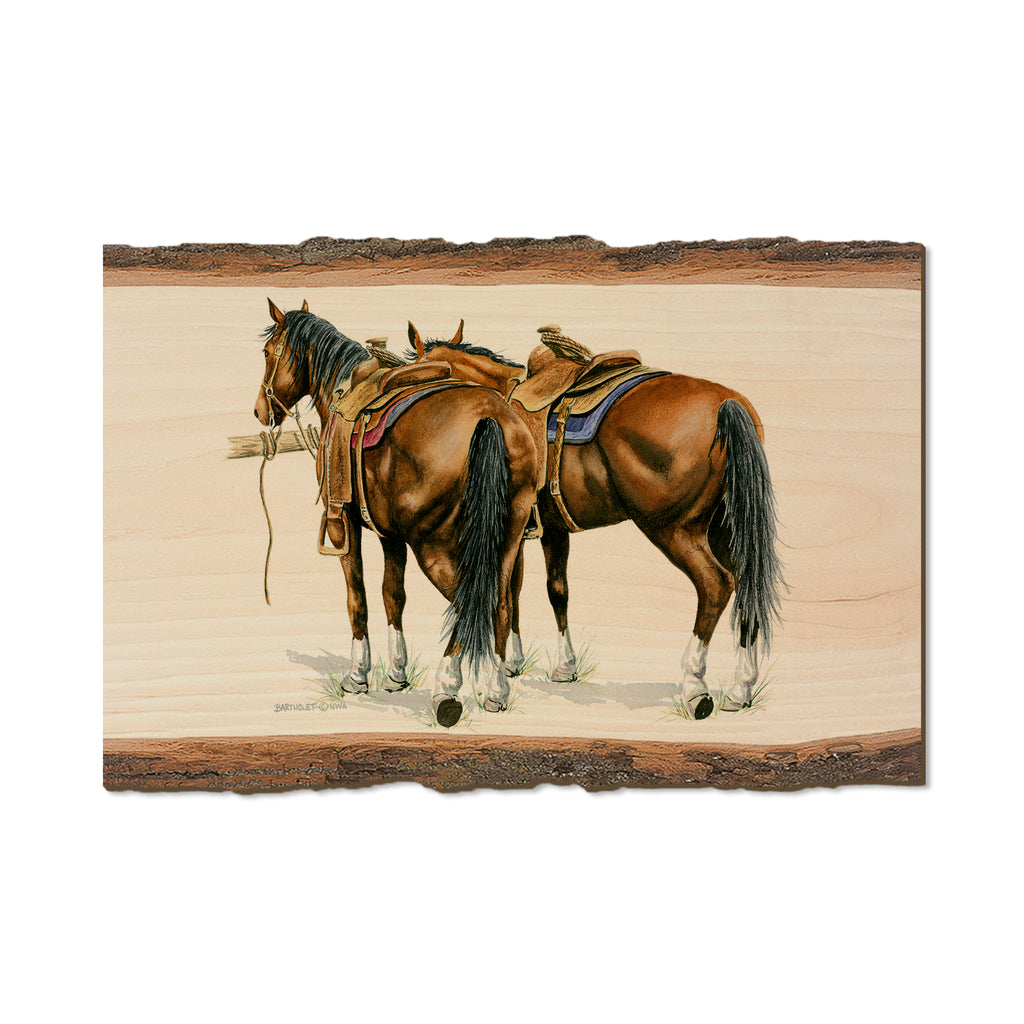 Bartholet's Saddle Up  - Live Edge