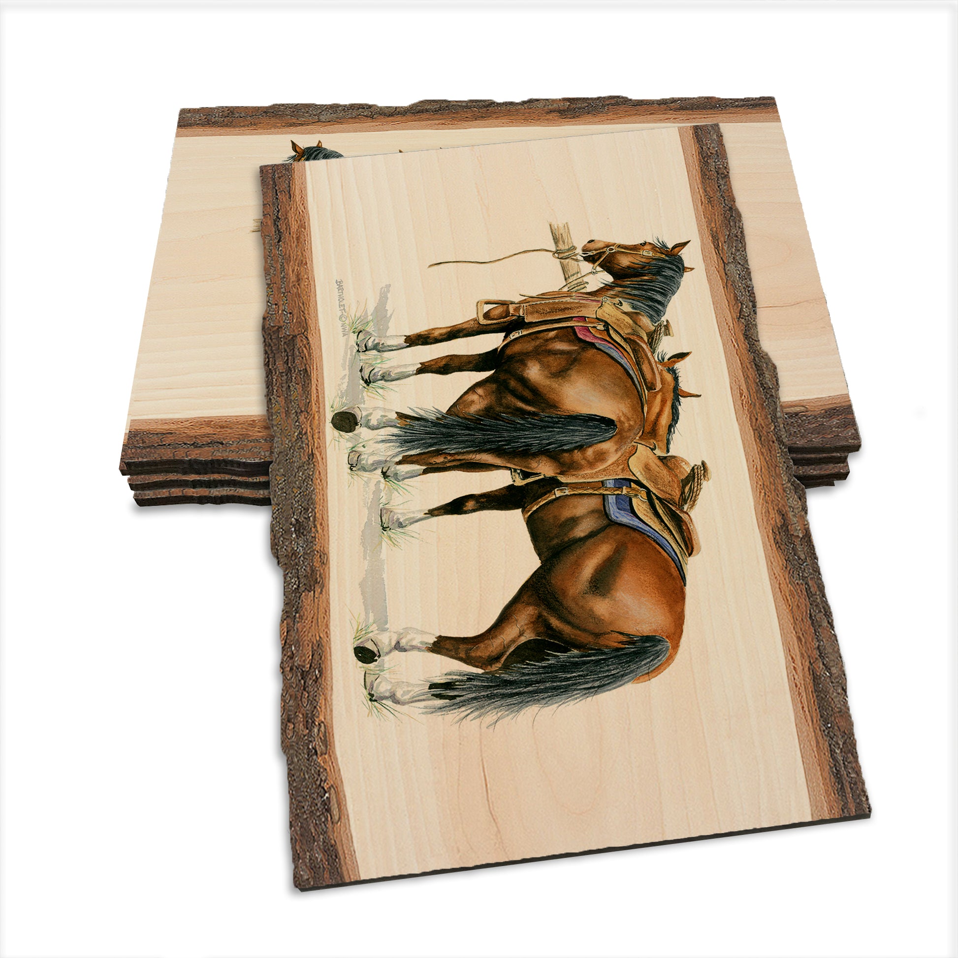 Bartholet's Saddle Up  - Live Edge Live Edge Postcard (5pk // $2.80ea)