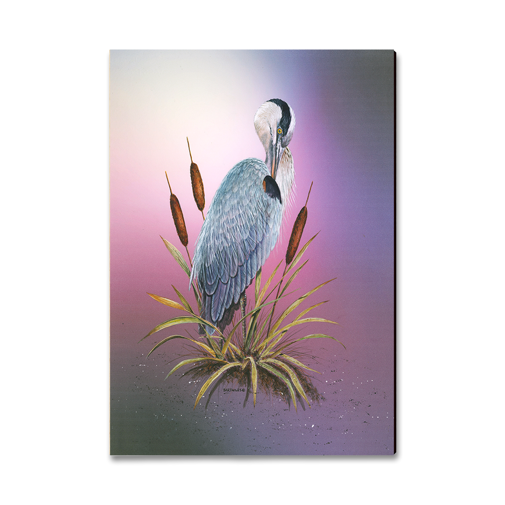 Magnet: Classic Edge - Bartholet's Sunset Heron