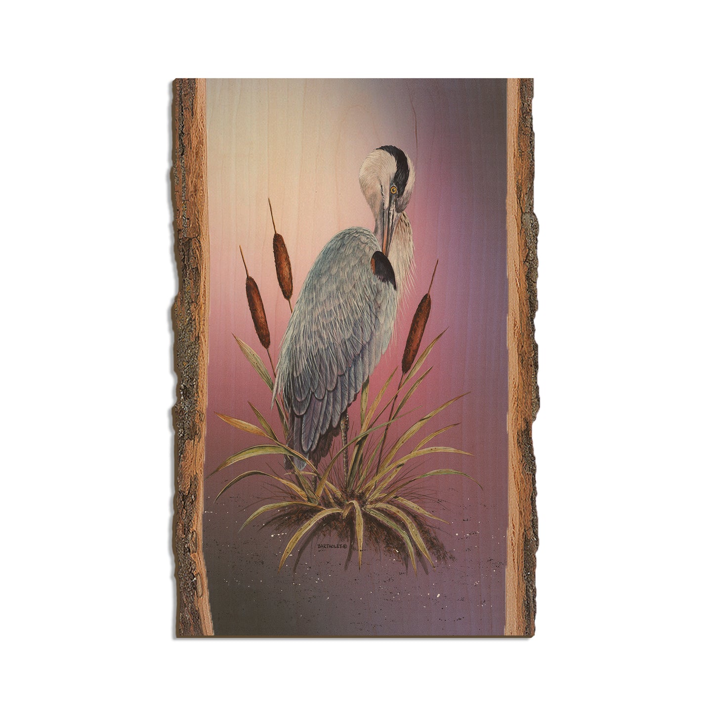 Bartholet's Sunset Heron  - Live Edge Live Edge Magnet (5pk // $2.80ea)