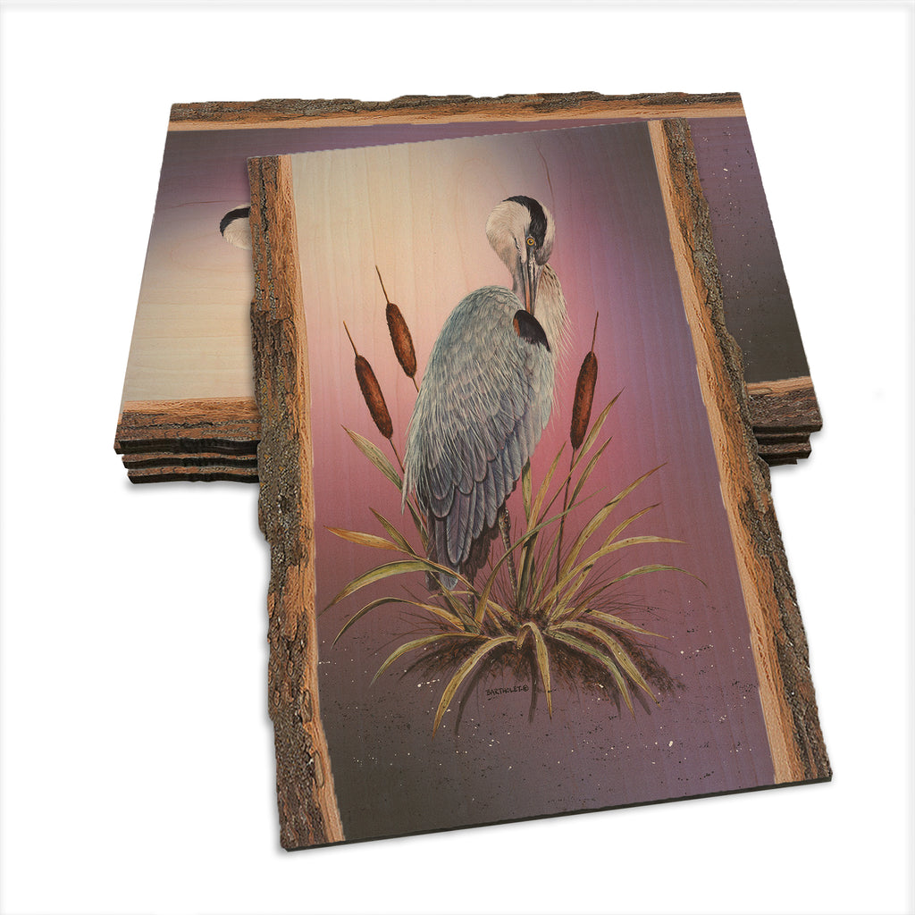 Bartholet's Sunset Heron  - Live Edge Live Edge Postcard (5pk // $2.80ea)