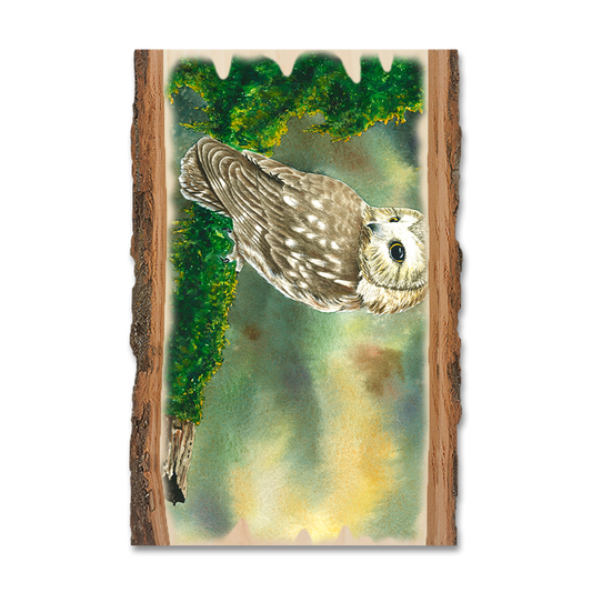 Greeting Card: Live Edge - Bartholet's Saw Whet