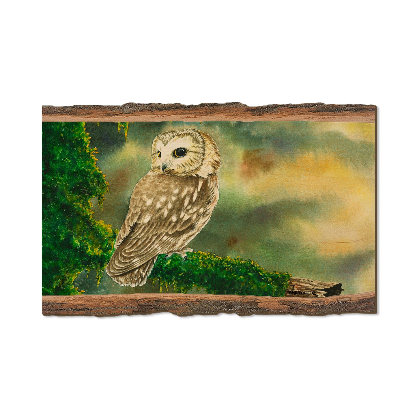 Bartholet's Saw Whet  - Live Edge Live Edge Magnet (5pk // $2.80ea)