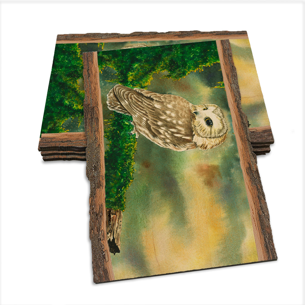 Bartholet's Saw Whet  - Live Edge Live Edge Postcard (5pk // $2.80ea)