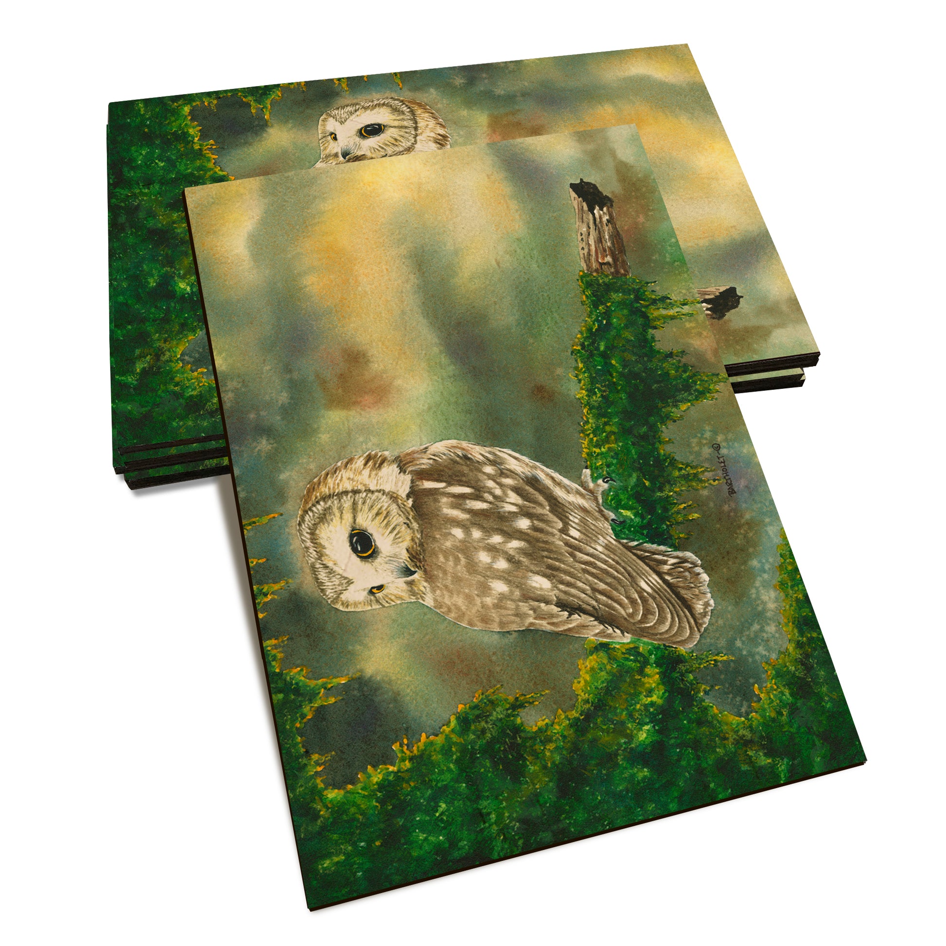 Bartholet's Saw Whet  - Classic Edge Classic Edge Postcard (5pk // $2.80ea)