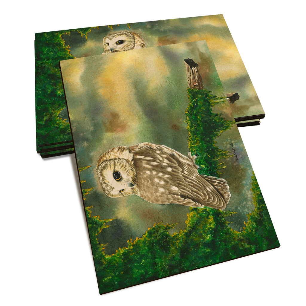 Bartholet's Saw Whet  - Classic Edge Classic Edge Postcard (5pk // $2.80ea)