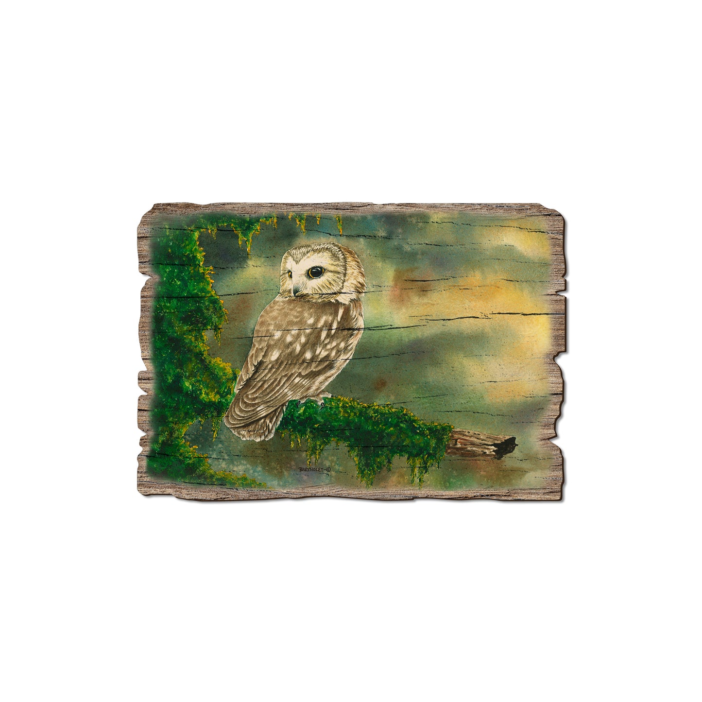 Bartholet's Saw Whet - Rustic Edge Postcards & Magnets Rustic Edge Magnet (5pk // $2.80ea)