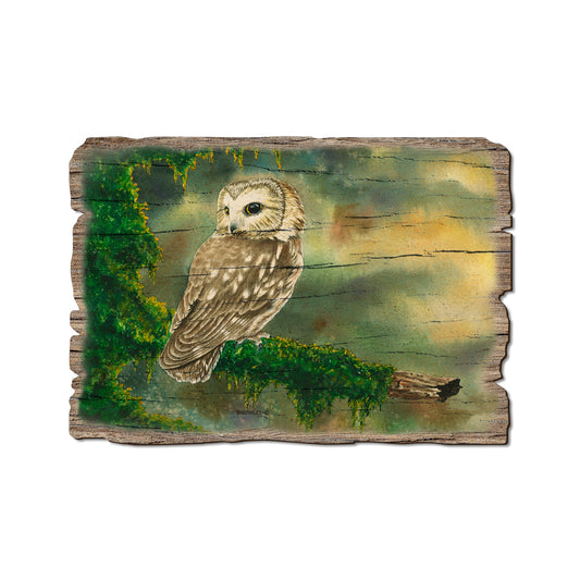 Bartholet's Saw Whet - Rustic Edge Postcards & Magnets Rustic Edge Postcard (5pk // $2.80ea)