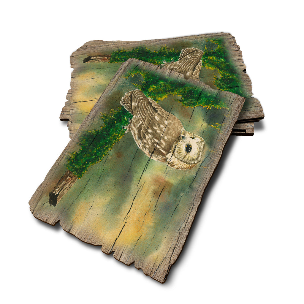 Bartholet's Saw Whet - Weathered Edge Rustic Edge Postcard (5pk // $2.80ea)