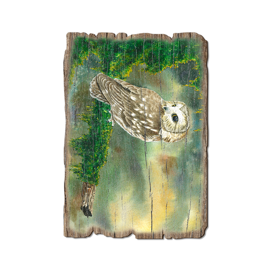 Greeting Card: Weathered Edge - Bartholet's Saw Whet