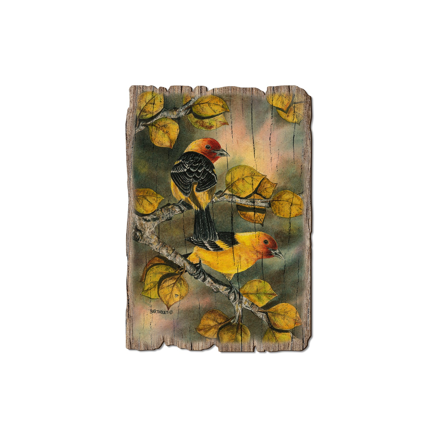 Bartholet's Tanagers - Rustic Edge Postcards & Magnets Rustic Edge Magnet (5pk // $2.80ea)