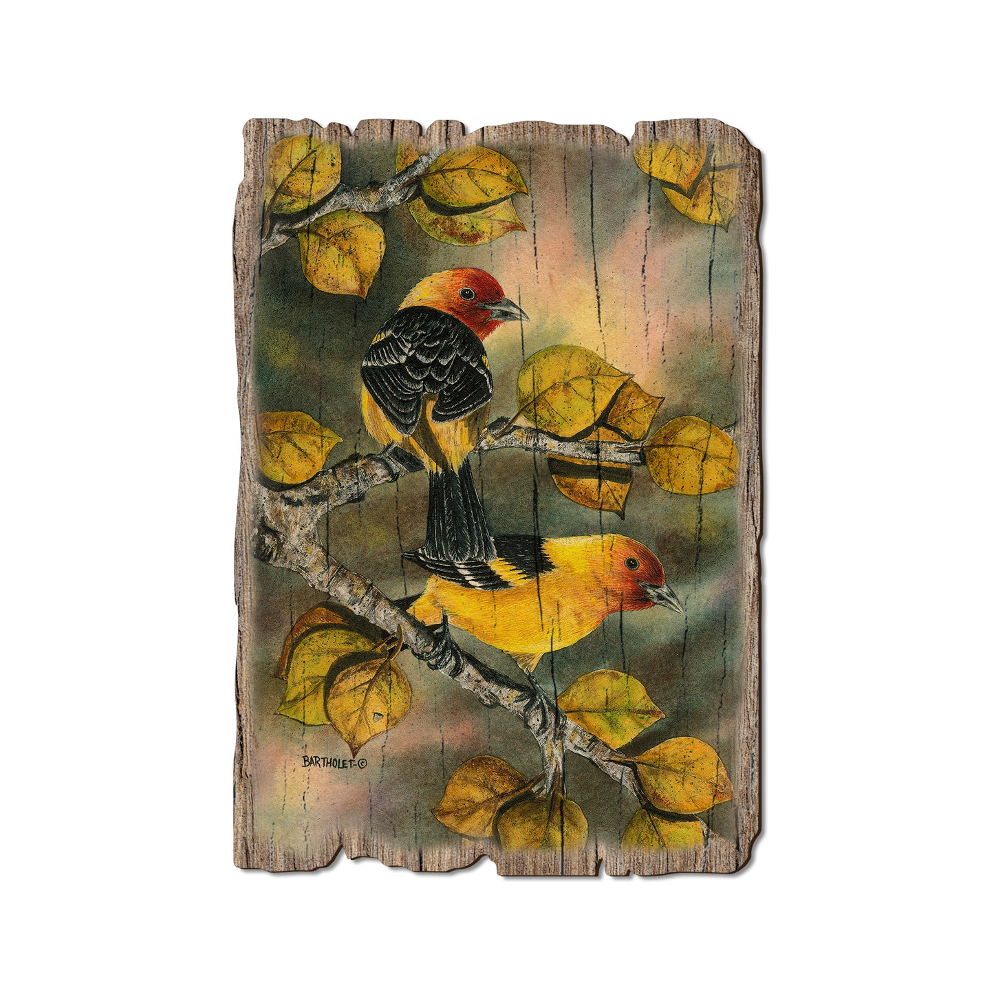 Bartholet's Tanagers - Rustic Edge Postcards & Magnets Rustic Edge Postcard (5pk // $2.80ea)