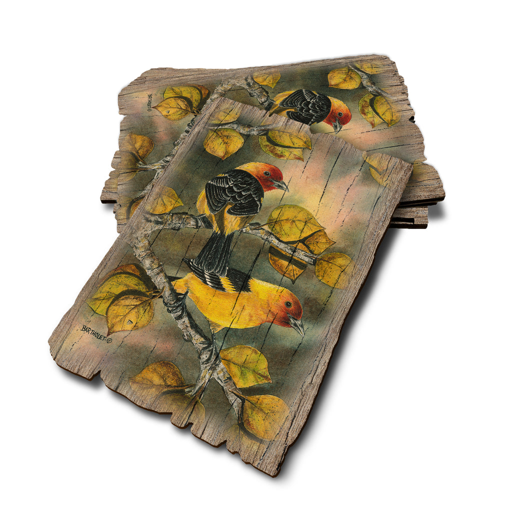 Bartholet's Tanagers - Weathered Edge Rustic Edge Postcard (5pk // $2.80ea)