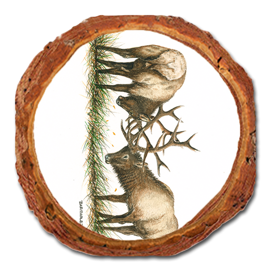 Coaster: Live Edge - Bartholet's The Battle (Pack of 5)