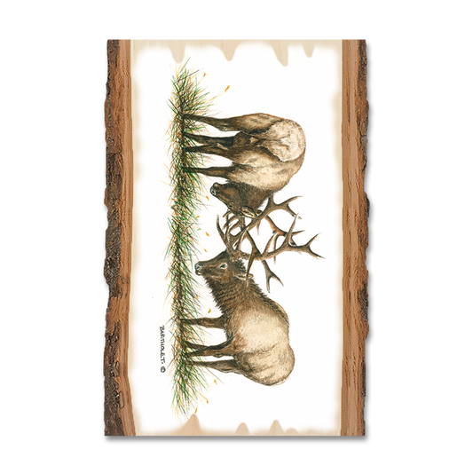 Greeting Card: Live Edge - Bartholet's The Battle