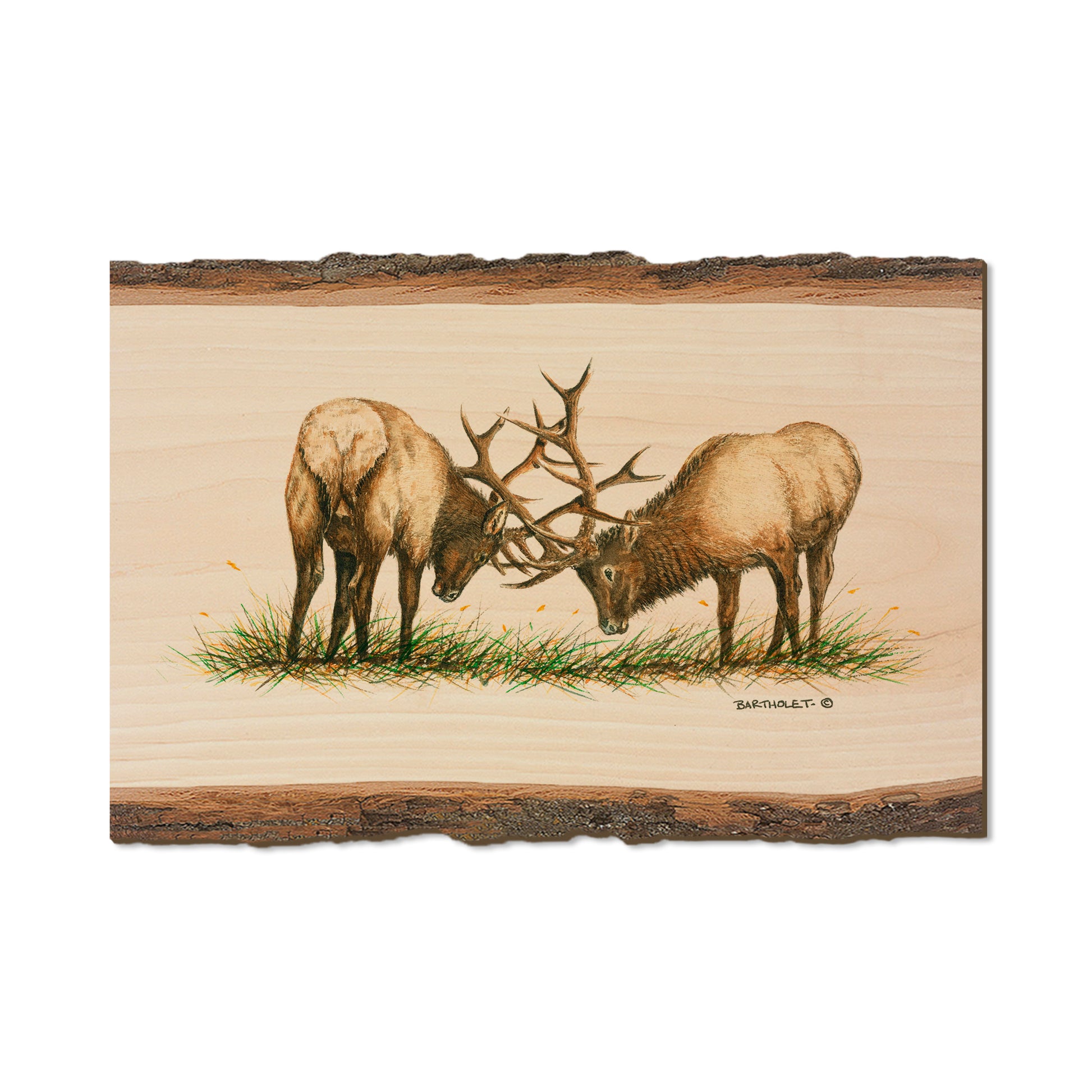 Bartholet's The Battle  - Live Edge Live Edge Postcard (5pk // $2.80ea)