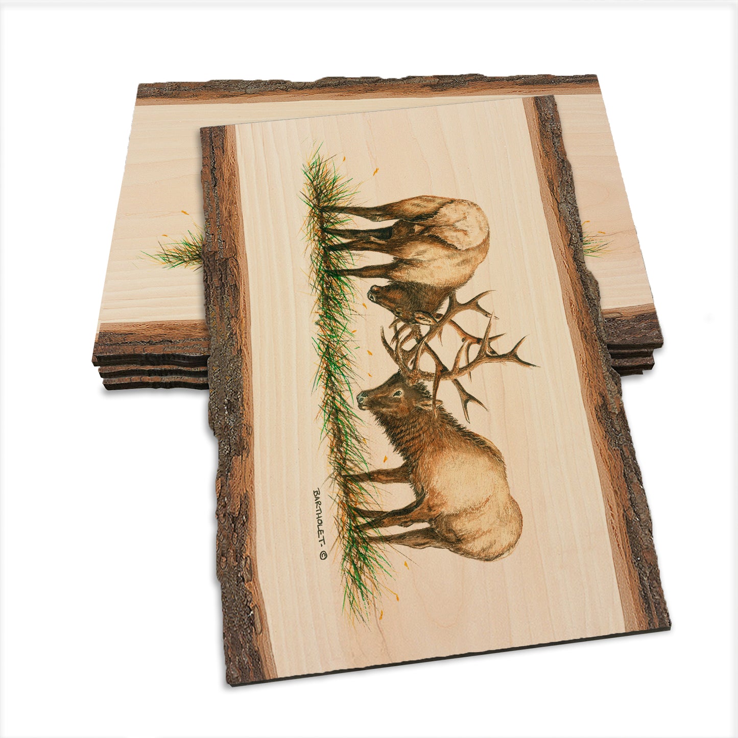 Bartholet's The Battle  - Live Edge Live Edge Postcard (5pk // $2.80ea)