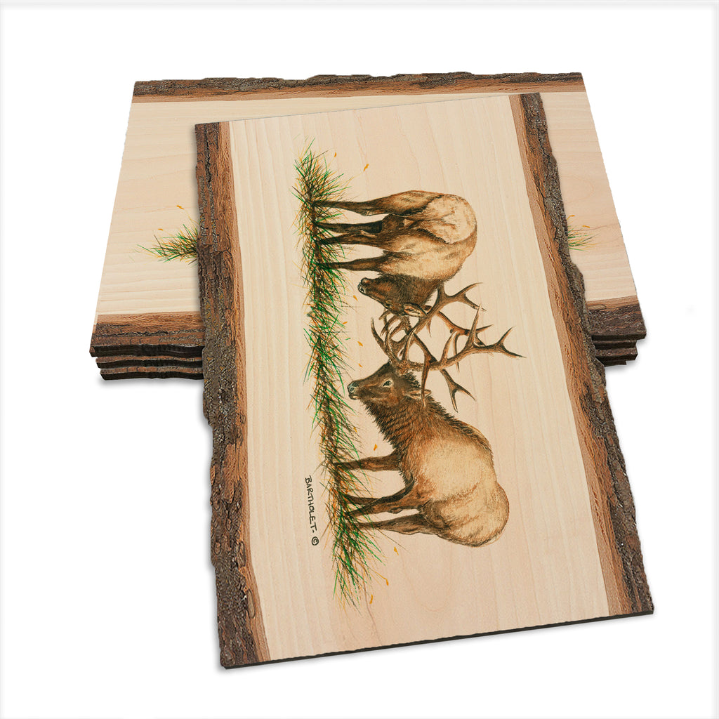 Bartholet's The Battle  - Live Edge Live Edge Postcard (5pk // $2.80ea)