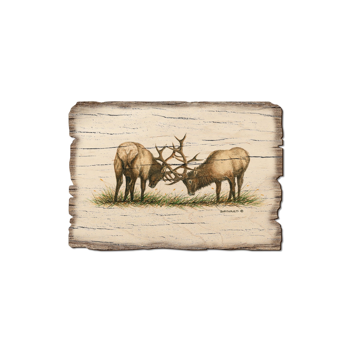 Bartholet's The Battle - Rustic Edge Postcards & Magnets Rustic Edge Magnet (5pk // $2.80ea)