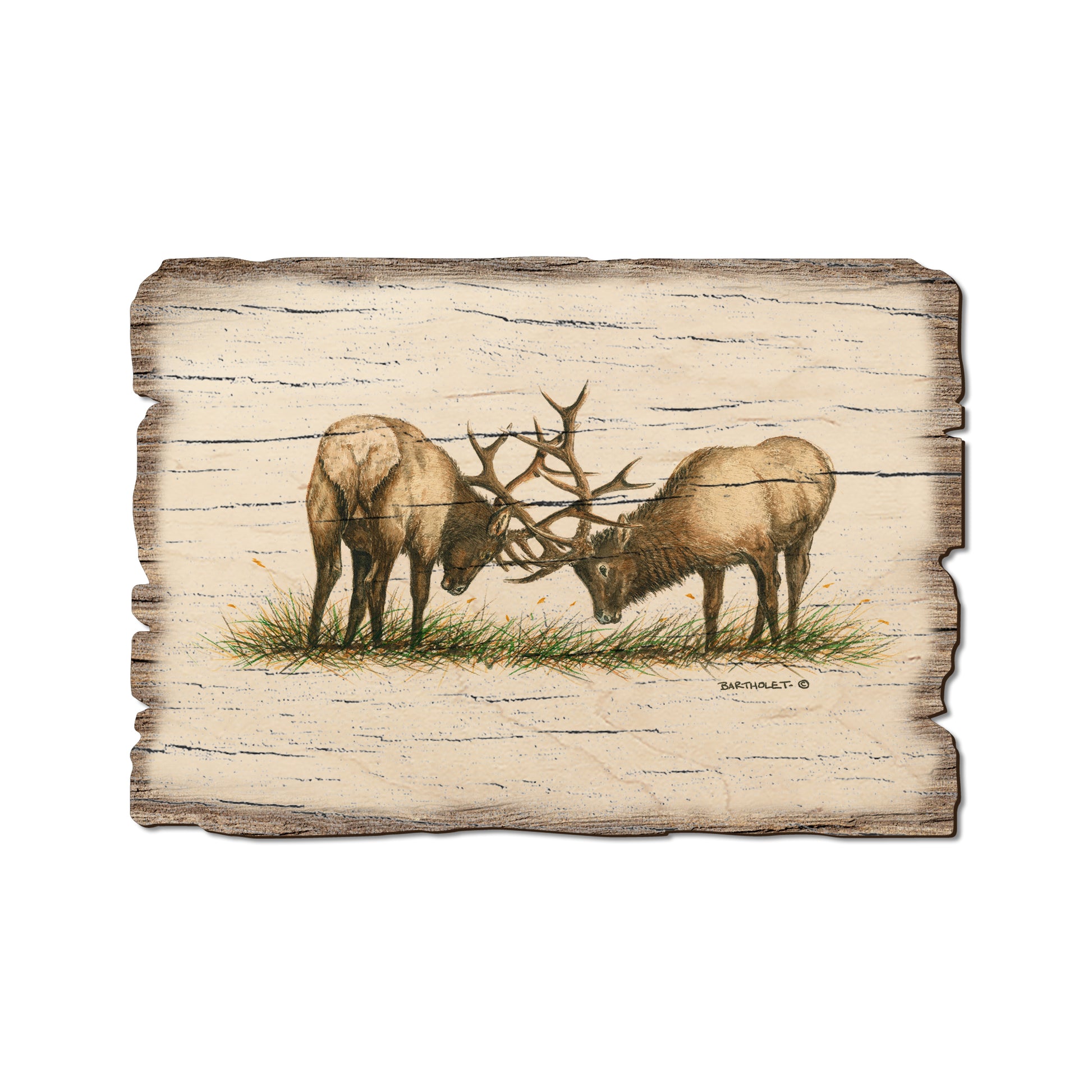 Bartholet's The Battle - Rustic Edge Postcards & Magnets Rustic Edge Postcard (5pk // $2.80ea)