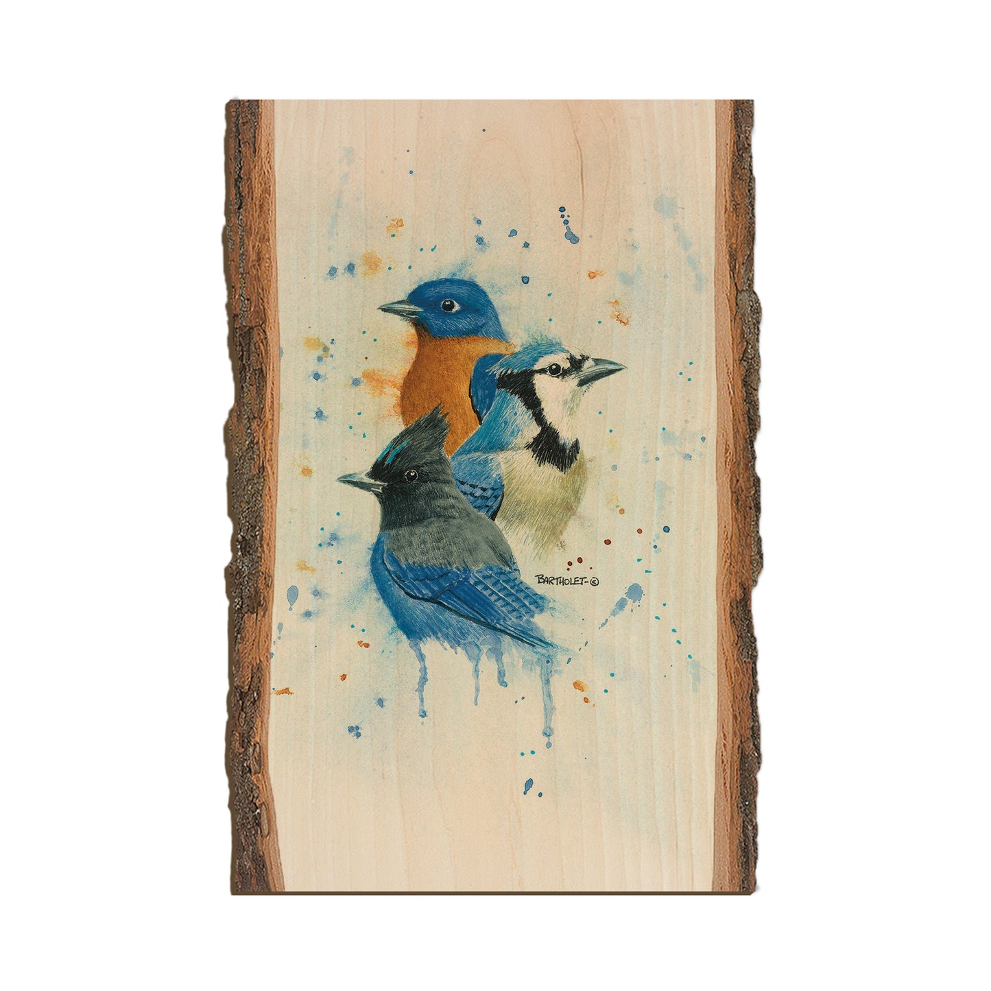 Bartholet's The Blues Club  - Live Edge Live Edge Postcard (5pk // $2.80ea)