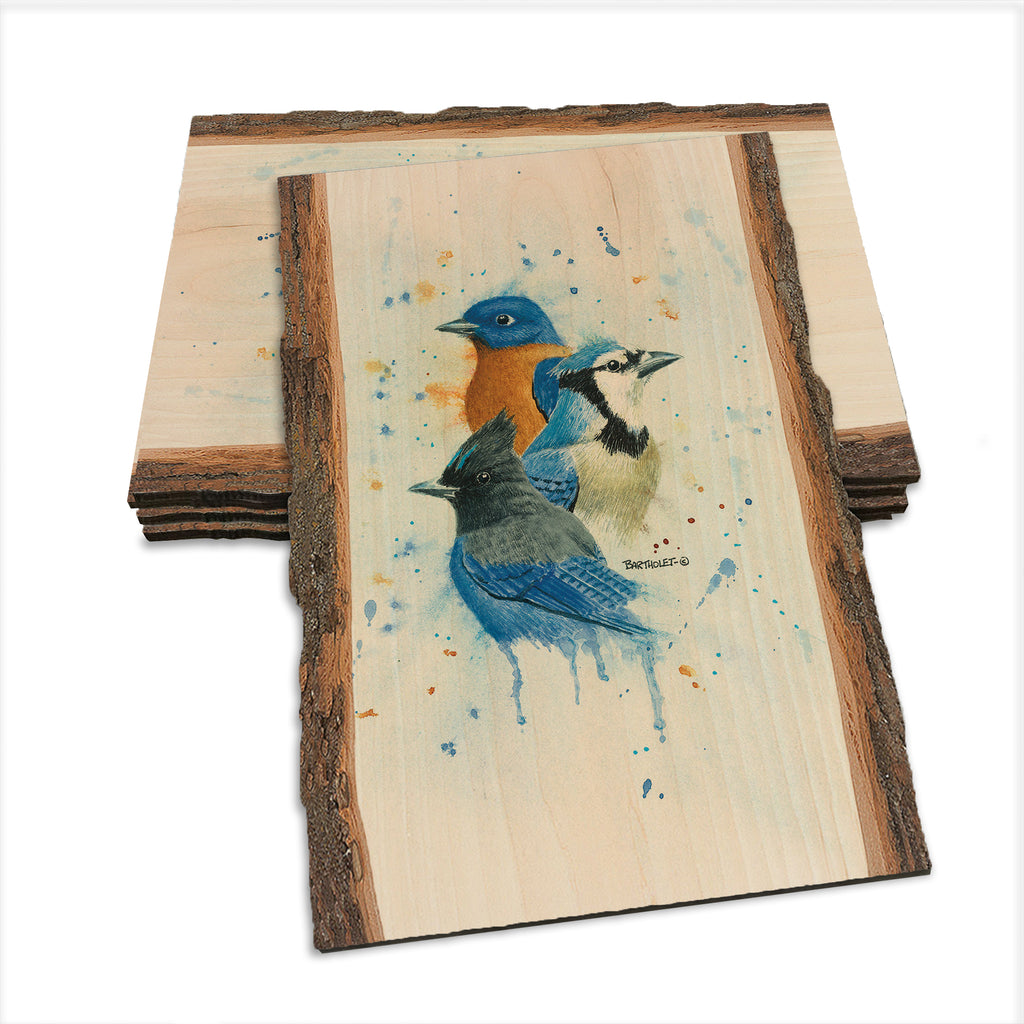 Bartholet's The Blues Club  - Live Edge Live Edge Postcard (5pk // $2.80ea)