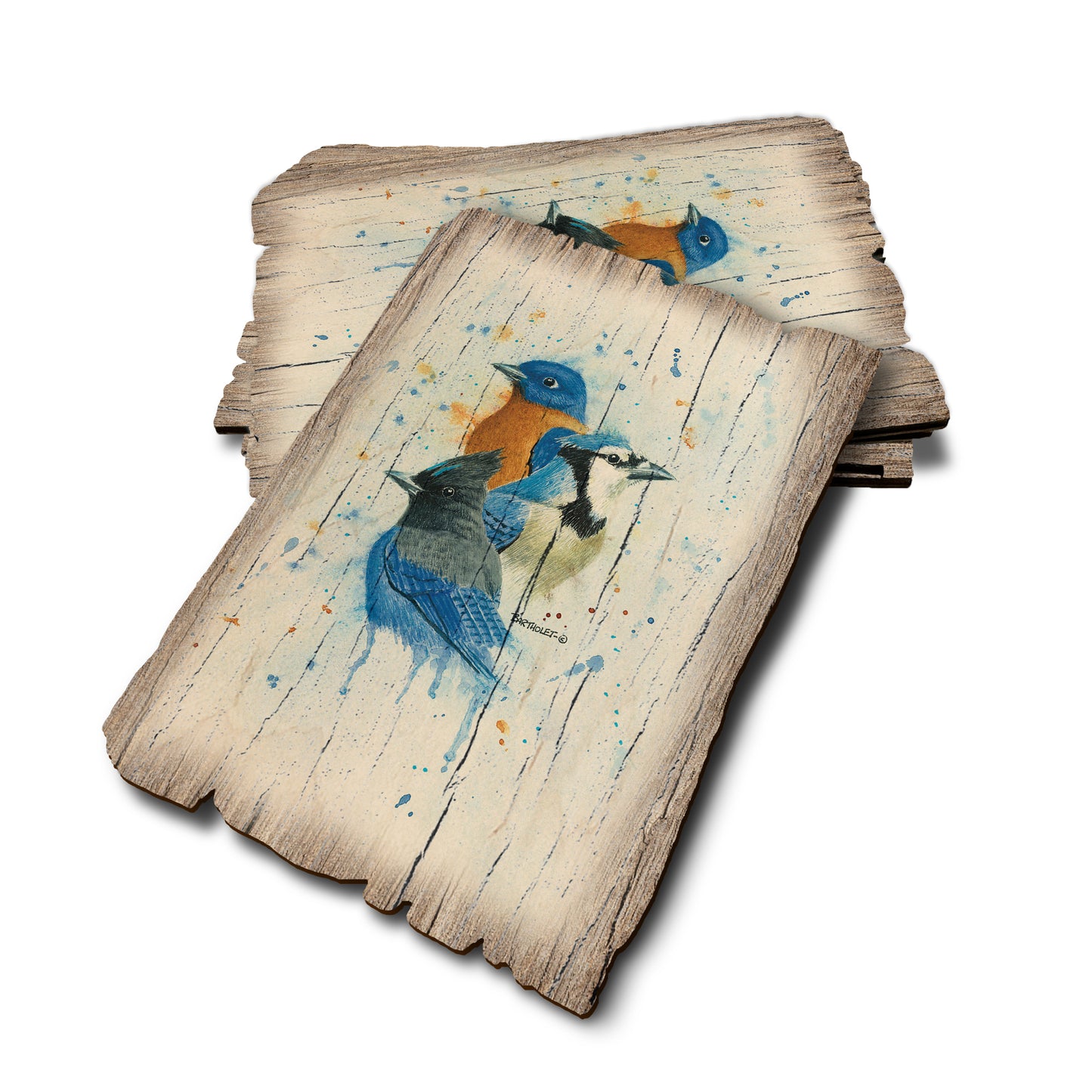 Bartholet's The Blues Club - Weathered Edge Rustic Edge Postcard (5pk // $2.80ea)