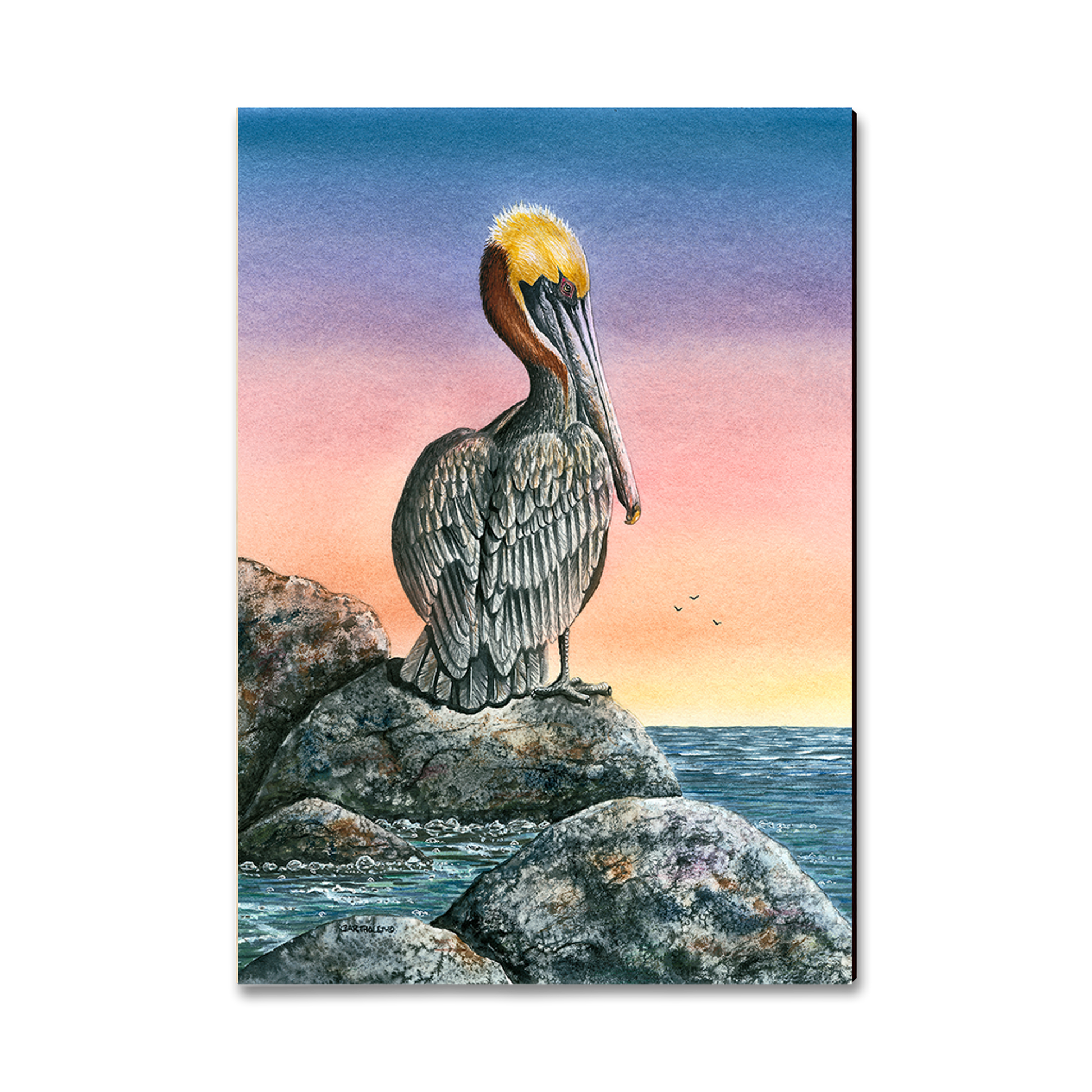 Postcard: Classic Edge - Bartholet's The Cove