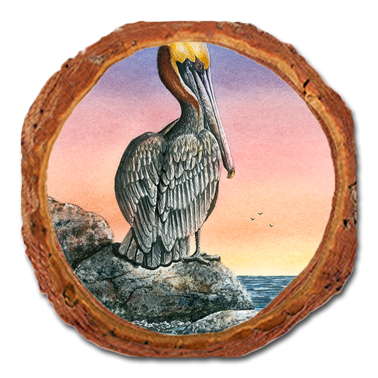 Coaster: Live Edge - Bartholet's The Cove (Pack of 5)