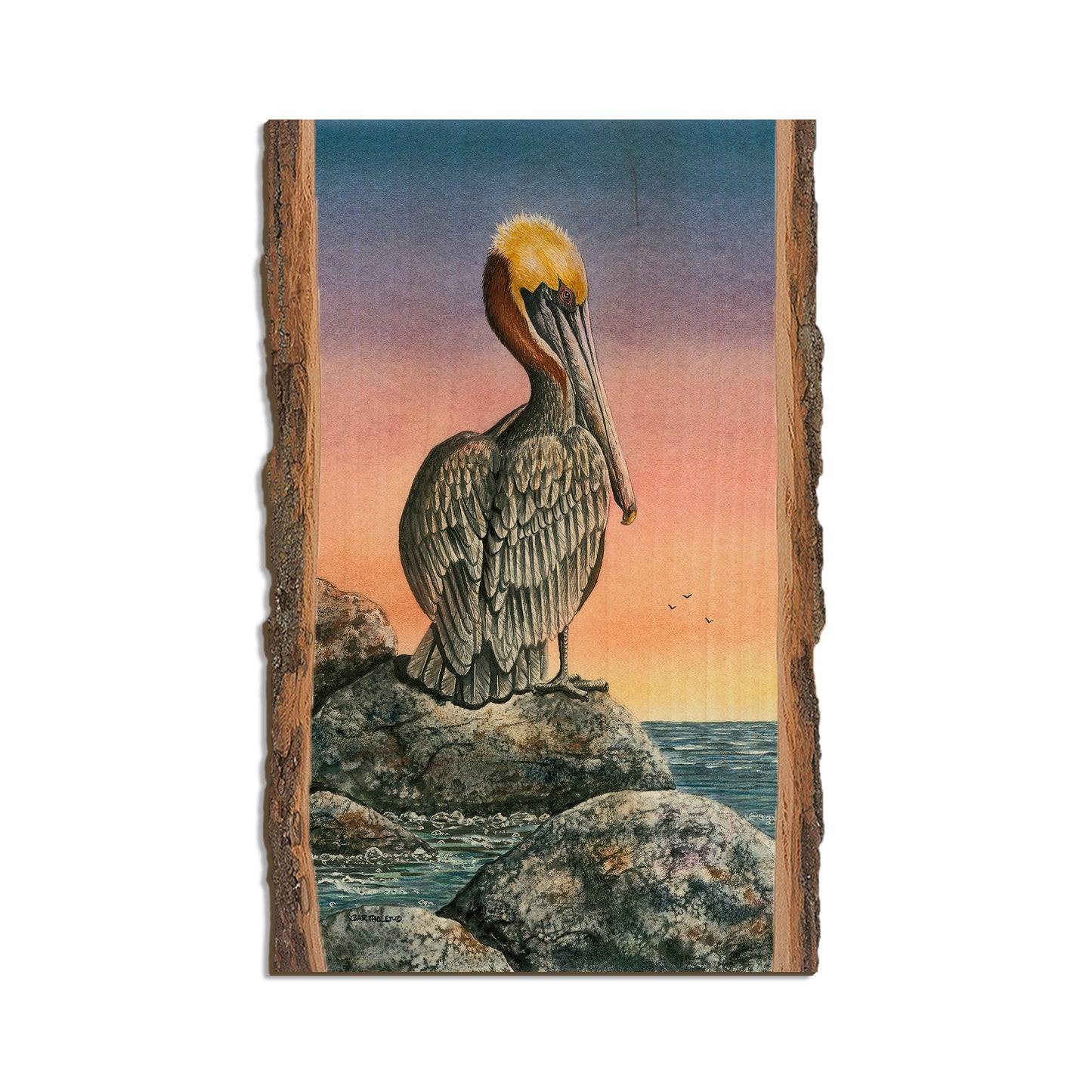 Bartholet's The Cove  - Live Edge Live Edge Magnet (5pk // $2.80ea)